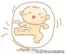 胎动是什么?