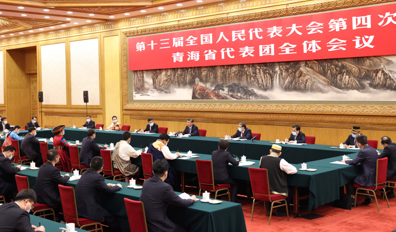 3月7日,中共中央总书记、国家主席、中央军委主席习近平参加十三届全国人大四次会议青海代表团的审议。新华社记者 黄敬文 摄
